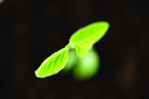 数字货币